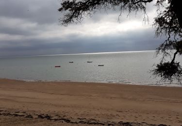 Tocht Stappen Noirmoutier-en-l'Île - Noirmoutier 12 juin 2019 - Photo