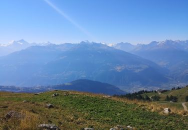 Trail Nordic walking Arbaz - Rawil  - Photo