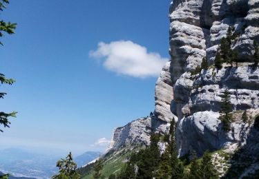 Trail Walking Entremont-le-Vieux -  le Granier par le Pas des Barres retour la Balme à Colon - Photo
