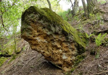 Randonnée A pied Mšeno - CZ-1069 - Photo