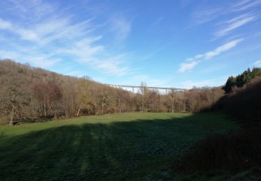 Tour Wandern Louroux-de-Bouble - Chassin a/r  12 01 2020 - Photo