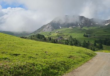 Randonnée Marche La Plagne-Tarentaise - Belle Plagne, Dou du Praz, Plagne Centre  - Photo