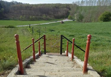 Tour Zu Fuß Chaumont-Gistoux - #200414 - Gistoux, Sentier de la Vallée, Champ du Poirier**** - Photo