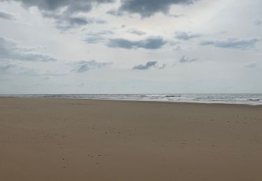 Randonnée Marche Le Porge - Fifi/zot le porge ocean Nord AR - Photo