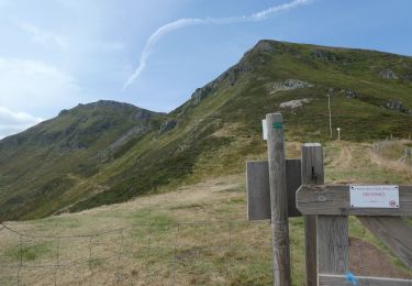 Excursión Senderismo Le Falgoux - 1 : Roche Noire - Roc d'Hozières - Roc des Ombres ; Roche Noire -- 2 : Col Pas de Peyrol - sommet du Puy Mary - boucle  - Photo