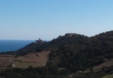 Randonnée Marche Collioure - Tour de Madeloc par les cols 15 km 741 m D+ - Photo