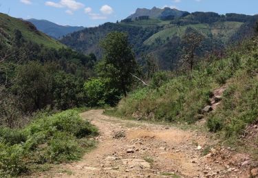 Tocht Mountainbike Urrugne - col d'Ibardin - Photo