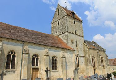 Excursión A pie Falaise - Circuit des Trois Châteaux - Photo