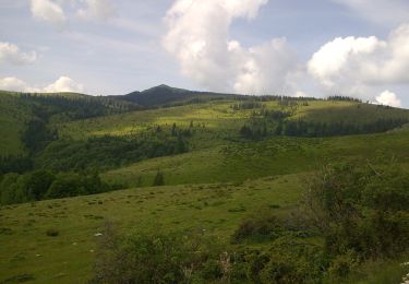 Percorso A piedi Sconosciuto - Baru - Valea Barușorului - DF Corbu - Refugiul Tulișa - Photo