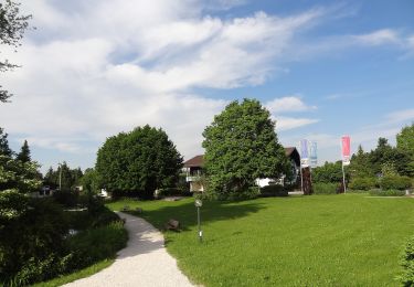 Trail On foot Bad Endorf - Panoramaweg - Bad Endorf - Photo