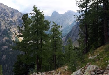 Trail Walking Saint-Martin-Vésubie - Cime de Piagu. Boreon - Photo