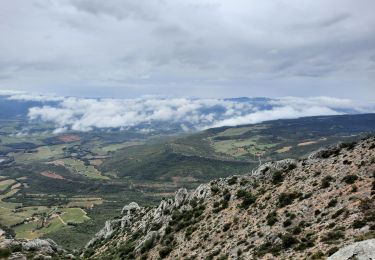 Tocht Stappen Puyloubier - Le pic des moches ste victoire - Photo