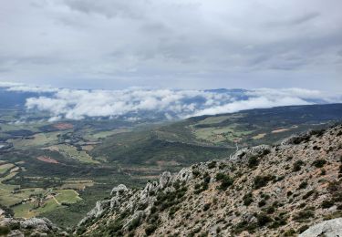 Excursión Senderismo Puyloubier - Le pic des moches ste victoire - Photo