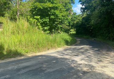 Trail Trail Sainte-Anne - Belle mare  - Photo