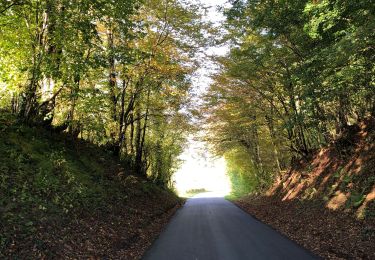 Randonnée Marche Virton - La Charmouthienne_boucle_Ethe_15km_2019-10-13 - Photo