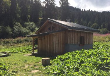 Tour Wandern Les Avanchers-Valmorel - Crève-Tête par Pierrafort, retour par Pierre Larron - Photo