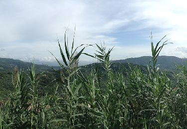 Percorso A piedi Pescia - Alta Via della Valdinievole - Photo