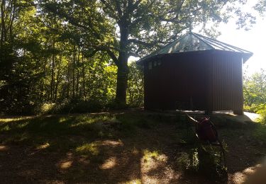 Tour Wandern Barr - 3 châteaux depuis Barr - Photo