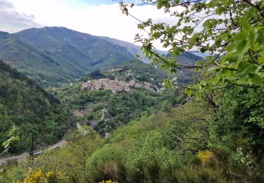 Trail Walking Vallées-d'Antraigues-Asperjoc - château de crau - Photo