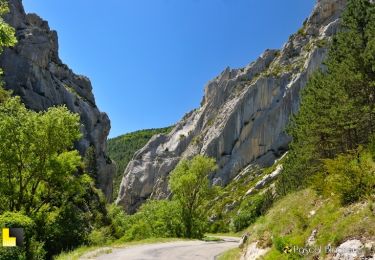 Randonnée Vélo de route Veynes - C27 - Le Tour de Saint Genis - Photo