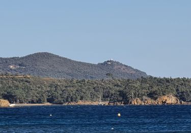 Trail Walking La Londe-les-Maures - La Londe - L'argentiere vers le Pellegrin - Photo