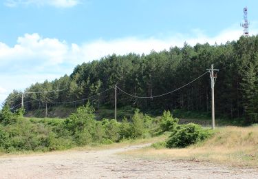 Tour Zu Fuß Greve in Chianti - IT-32 - Photo