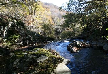 Tocht Paard Les Salces - pour rejoindre les Gites de Plagnes - Photo