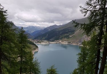 Trail Walking Tignes - Le pas de Toviere par le bois de la Laye - Photo