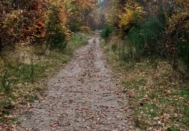 Trail Walking Fontainebleau - cassepot 10 11 2014 - Photo