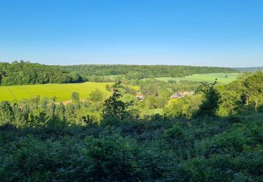 Tour Mountainbike Saint-Gobain - Parcours Errancourt - Photo