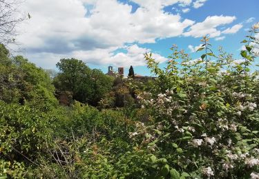 Tour Wandern Ferrières-les-Verreries - Ferrières- Mas Baumes- Gournies  - Photo