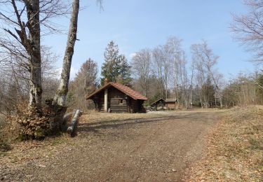 Tocht Stappen Wegscheid - Wegscheid-Stahlberg - Photo