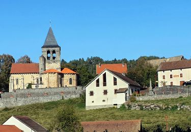 Trail Walking Montfermy - Montfermy_Foret_Chartreuse - Photo