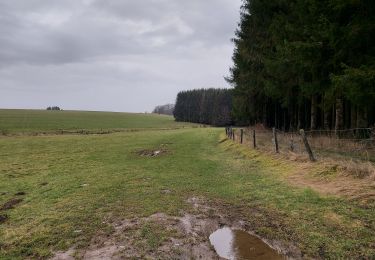 Excursión Senderismo Libramont-Chevigny - Laneuville 180221 - Photo