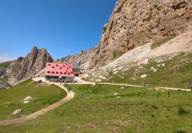 Percorso Marcia Castelrotto - Seiser Alm - Refuge Tierser-Alpl - Photo