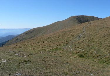 Randonnée A pied Avrig - Cabana Bârcaciu - L. Avrig - Photo