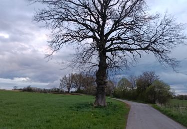 Randonnée Marche Arlon - Guirsch Arlon - Photo