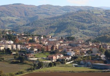 Excursión A pie Gubbio - Via di Francesco - Tappa 9 Eremo di San Pietro in Vigneto-Valfabbrica - Photo