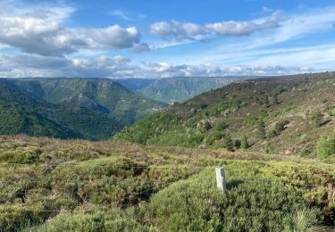 Tocht Stappen Pied-de-Borne - Le tour du chassezac - Photo