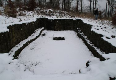 Tour Zu Fuß Ebsdorfergrund - Ebsdorfergrund-Weg - Photo