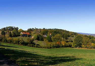 Randonnée Marche Manzat - Manzat_Sources_Morge - Photo