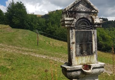 Percorso Marcia Viuz-en-Sallaz - Viuz-Les Brasses-Vernant-Viuz - Photo