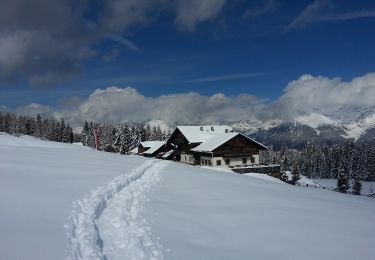 Randonnée A pied Rodeneck - Rodengo - Wanderroute 68 - Photo