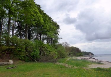 Percorso A piedi  - Fredericia til Trelde Næs - Photo