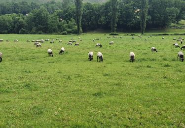 Tocht Stappen Urepel - urepel - Photo