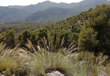 Trail Walking Los Guájares - Au dessus de Gujar Alto - Photo