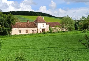 Tour Wandern Bucey-en-Othe - Au dessus de BUCEY EN OTHE  - Photo