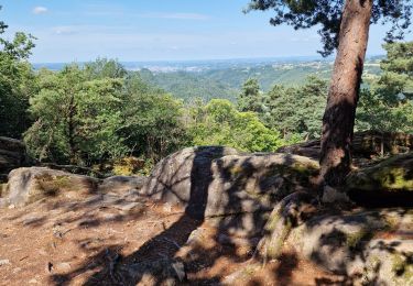 Tocht Stappen Aubazines - aubazine - Photo