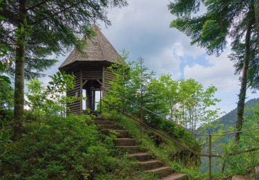 Tour Zu Fuß Bad Rippoldsau-Schapbach - Bad Rippoldsau - Burgbachhöhe (Mittelweg) - Photo