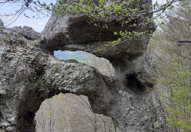 Trail Walking Léoncel - Double arche de Rucla - Photo